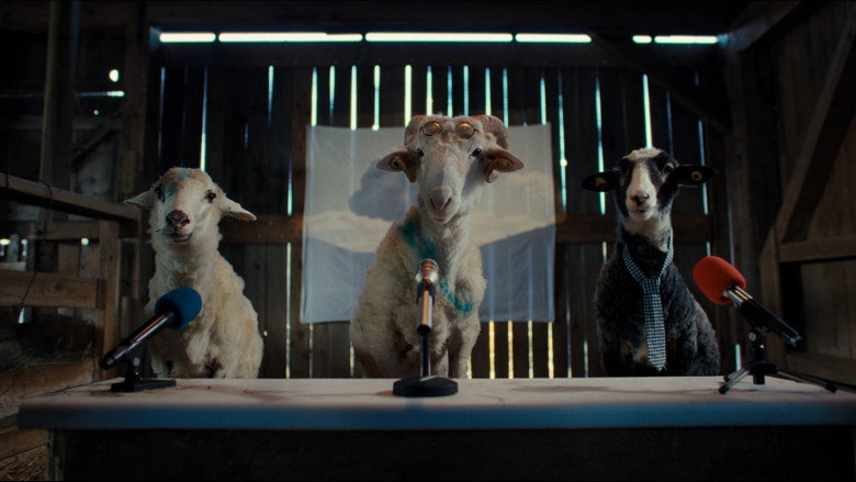 Sheep backdrop 2