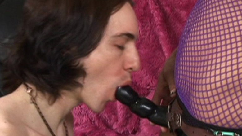 You've Been Pegged 2 backdrop 1