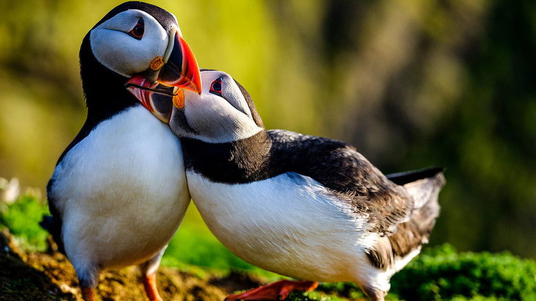 The Pembrokeshire Coast