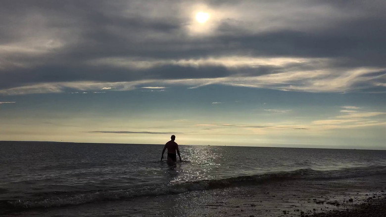 Swimming to the End of the World backdrop 2