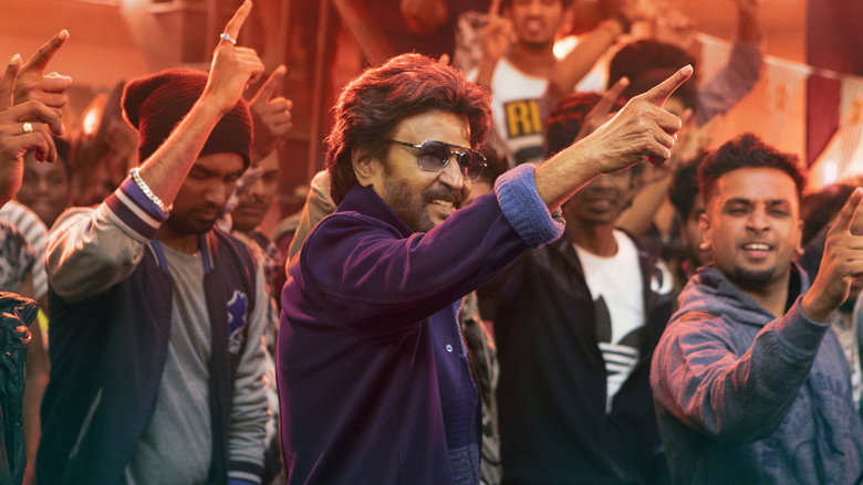 Petta backdrop 6