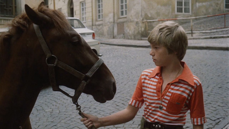 Don't Look Back, There Is a Horse Behind Us backdrop 4