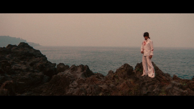 Sister Street Fighter backdrop 8