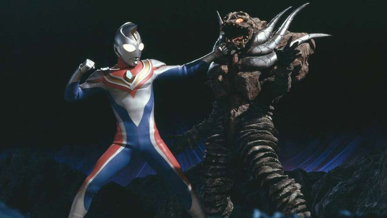 The Light and Shadow of the Youthful