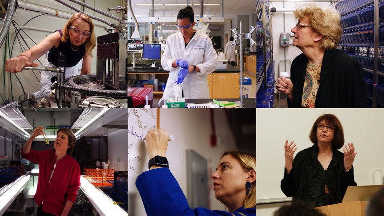 Picture a Scientist backdrop 3