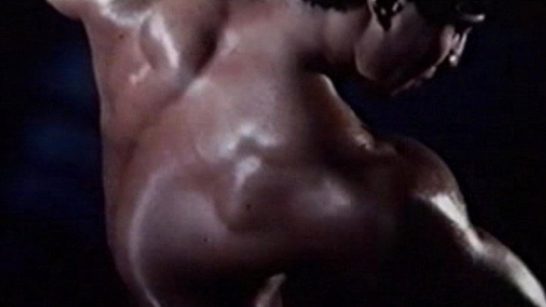 Muscle backdrop 5
