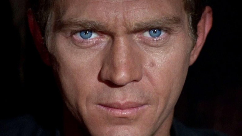 I Am Steve McQueen backdrop 4