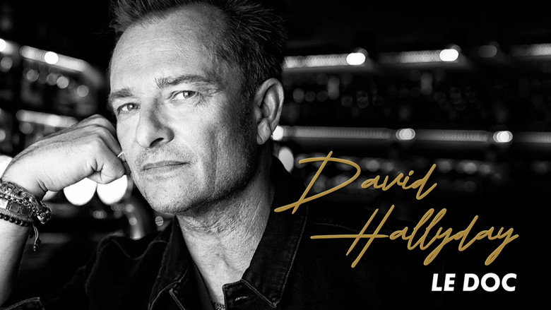 David Hallyday backdrop 2