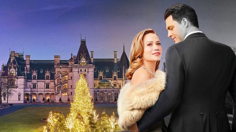 A Biltmore Christmas backdrop 9