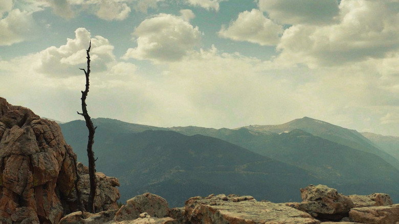 Wild Crime backdrop 2