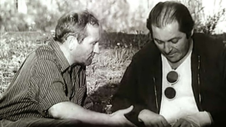 Jerzy Bogajewicz