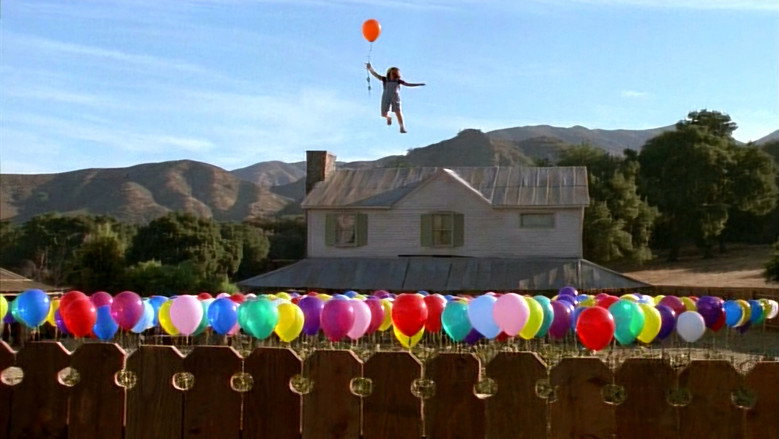 Balloon Farm backdrop 6