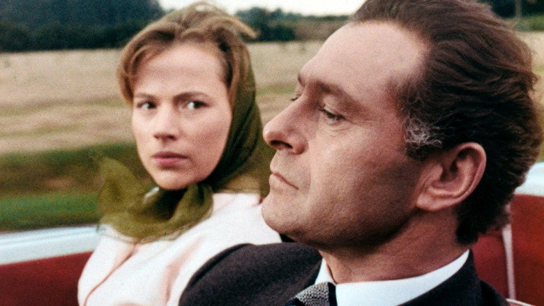 Gudrun backdrop 2