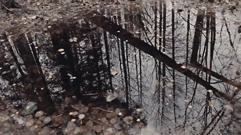 A Dugout Canoe backdrop 3