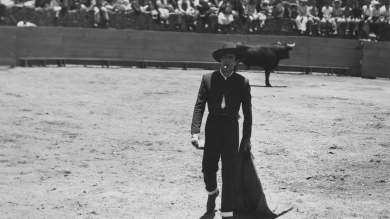 Bullfighter and the Lady backdrop 8