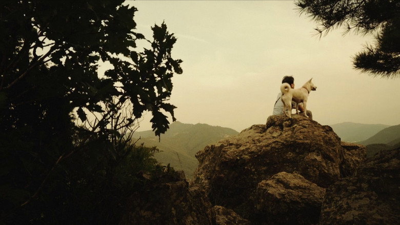 Twilight backdrop 3