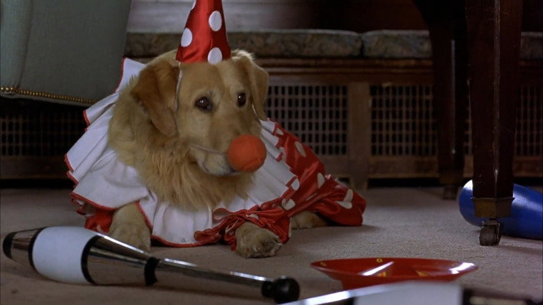 Air Bud backdrop 3