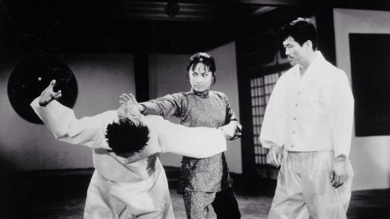 Hapkido backdrop 5