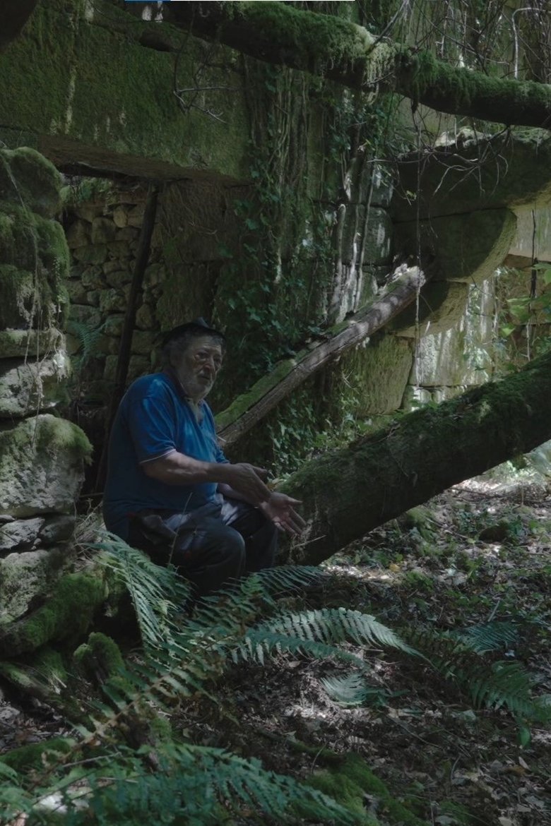 O Seixoval. A montaña máxica