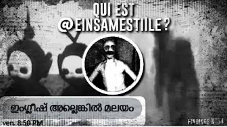 Le compte qui EFFRAIE TWITTER - Qui est @einsamestiIle - Findings N°54