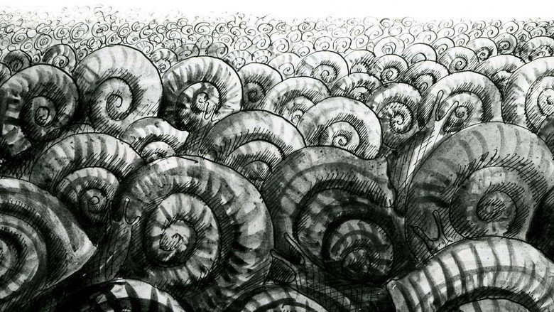 The Snails backdrop 6