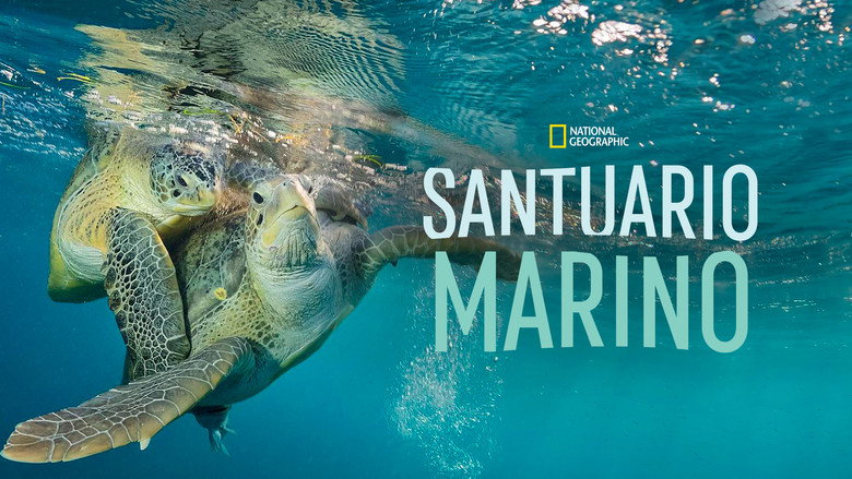 Sea of Hope: America's Underwater Treasures backdrop 6