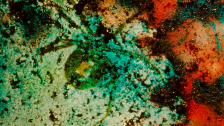 Landfill 16 backdrop 4