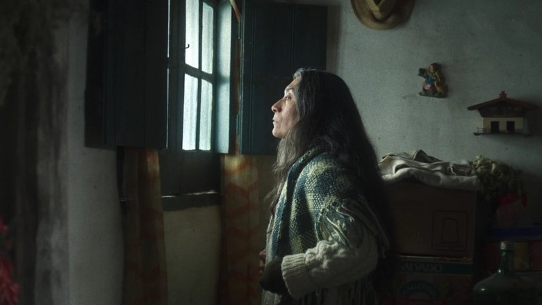 Nadir Medina