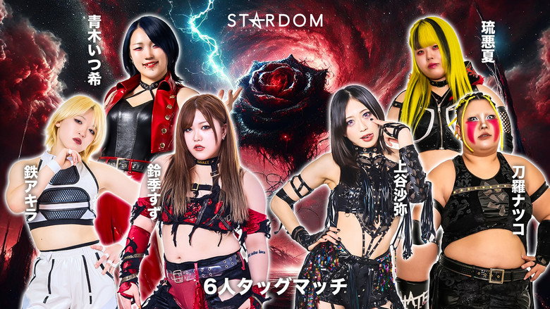 Stardom GW Tour 2026 in Fukuyama backdrop 3