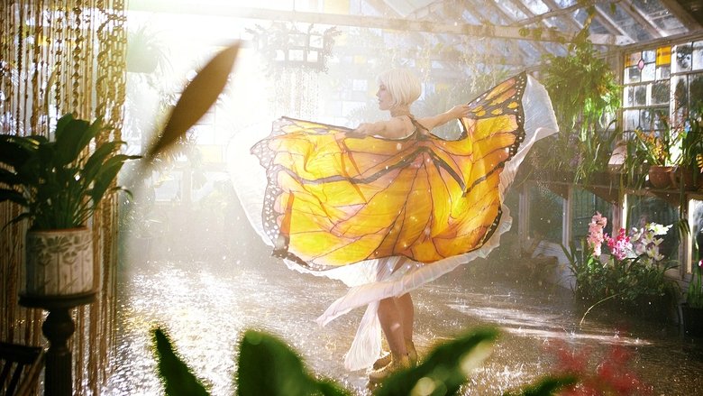 The Butterfly Tree線上电影看完整版