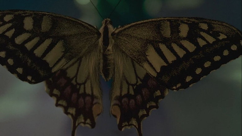 Swallowtail Butterfly backdrop 3