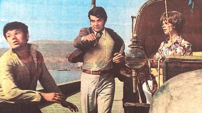 Saadet Güneşi backdrop 2