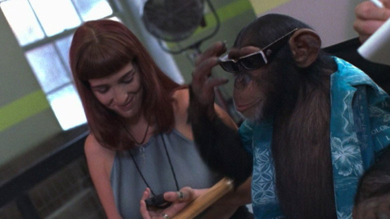 Monkey Business backdrop 3