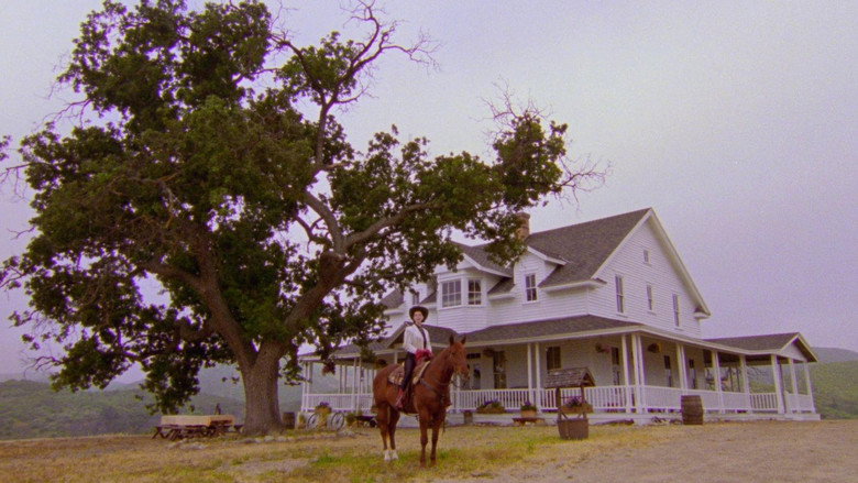 The Nowhere Inn backdrop 6