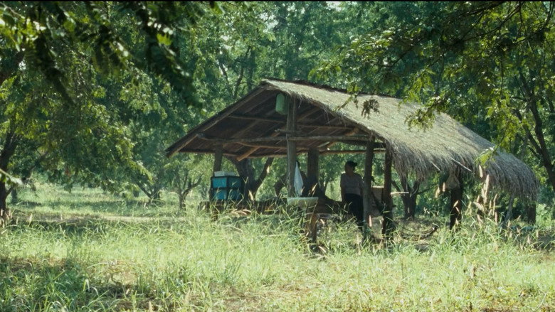 Uncle Boonmee Who Can Recall His Past Lives backdrop 8