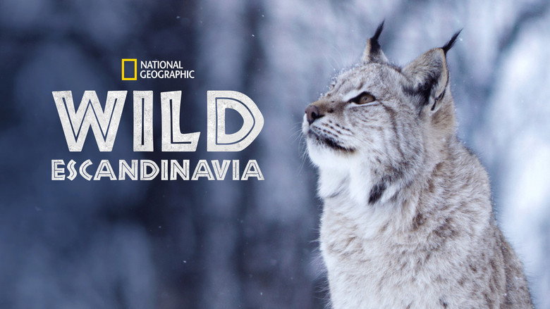 Wild Nordic backdrop 3