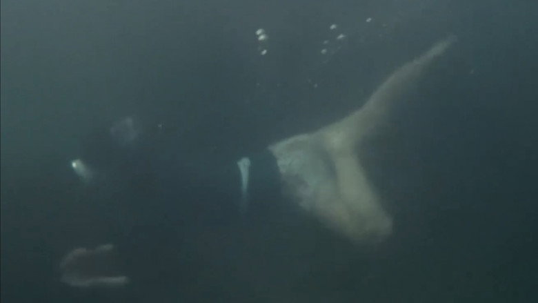 Nasty Diver backdrop 7