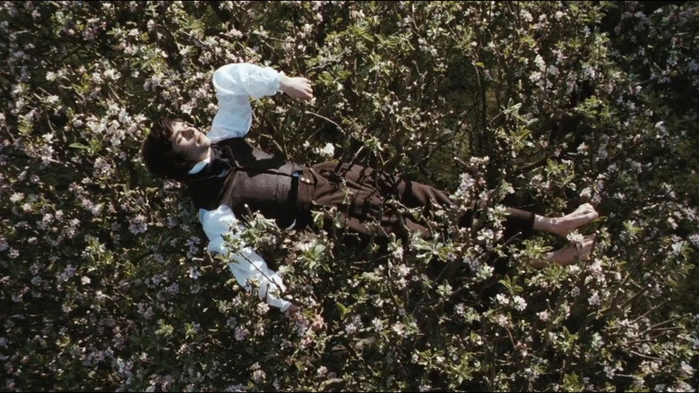 Bright Star backdrop 4