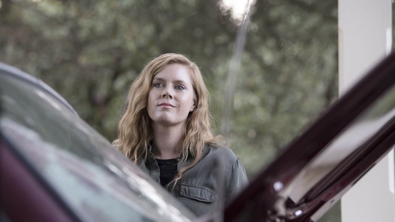Sharp Objects