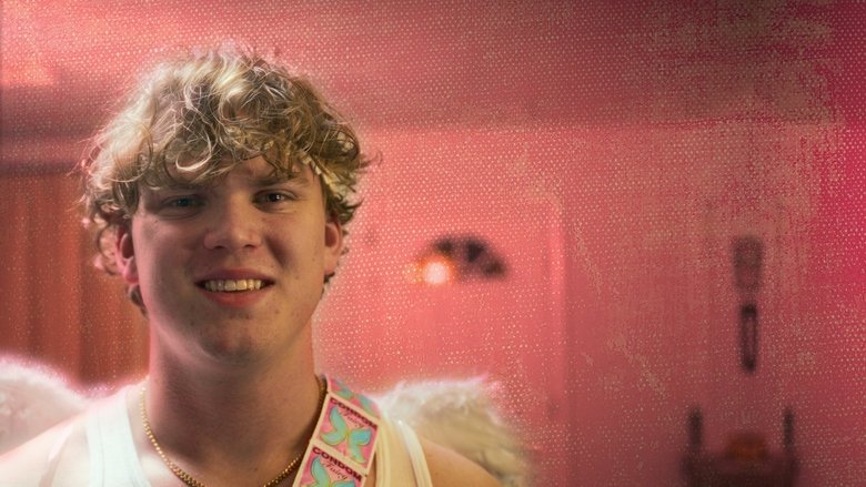 The Condom Fairy