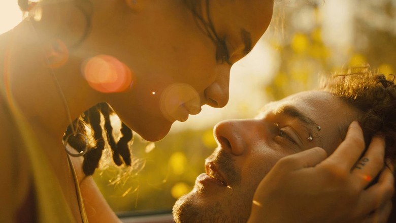 American Honey backdrop 3