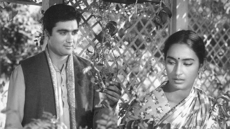 Sujata backdrop 9