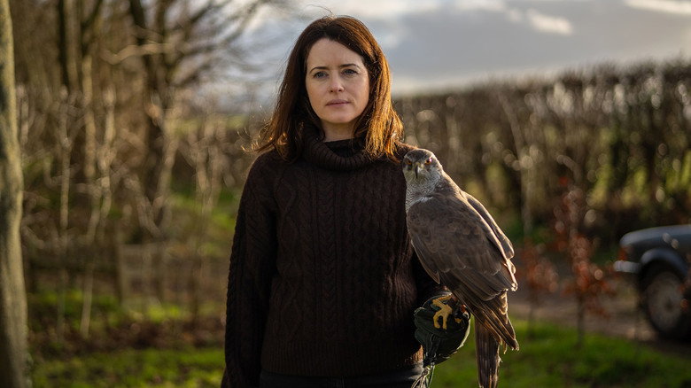 H Is for Hawk backdrop 9