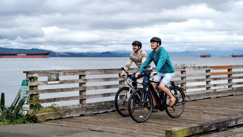 Bay Watchers