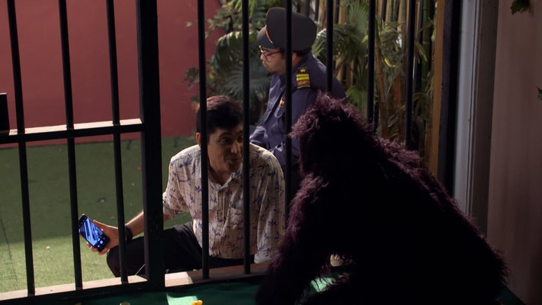 A Chimpanzee Attacks Vibhuti