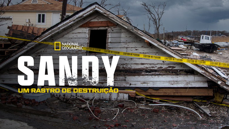 Superstorm New York: What Really Happened backdrop 6
