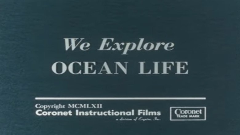 We Explore Ocean Life