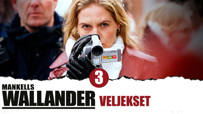 Wallander: The Brothers backdrop 3