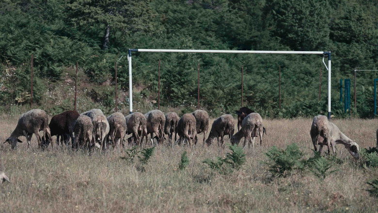 The Goals of August backdrop 5