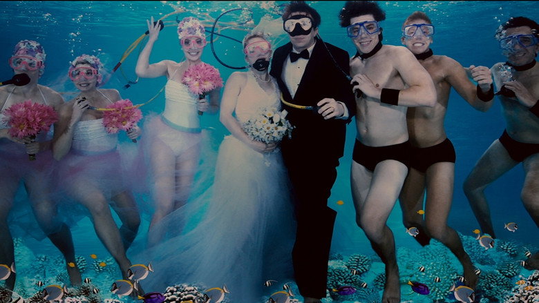 27 Dresses backdrop 6